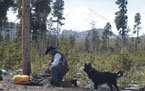 Person sitting on the ground among pine trees with a black dog nearby in a mountainous outdoor setting