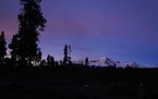 Silhouetted trees along a dark ridge under a twilight sky with a snow-capped mountain in the distance