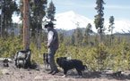 Camping gear set up on grassy forest ground with tall trees and a mountain visible in the distance under a clear sky