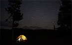 Glowing yellow tent illuminated under a dark, starry night sky with silhouettes of tall trees nearby