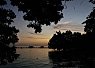 Silhouetted trees framing a calm sea at sunset with a distant horizon and soft orange and purple sky