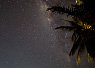 Night sky filled with stars and the Milky Way visible above silhouettes of palm tree leaves