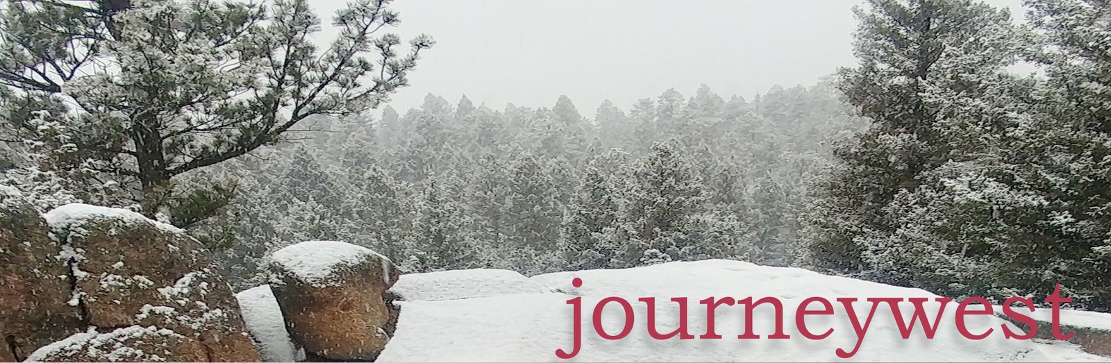 Snow-covered rocks and pine trees in a winter mountain forest with a foggy background
