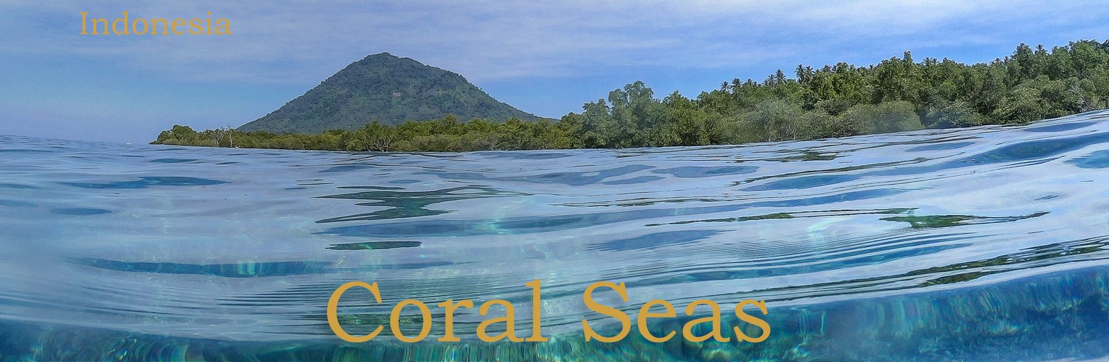 Calm blue ocean water with a view of a green forested island and a mountain under a clear sky
