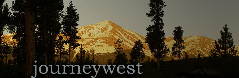 Mountain range with snow patches illuminated by golden light behind a dark silhouette of tall pine trees