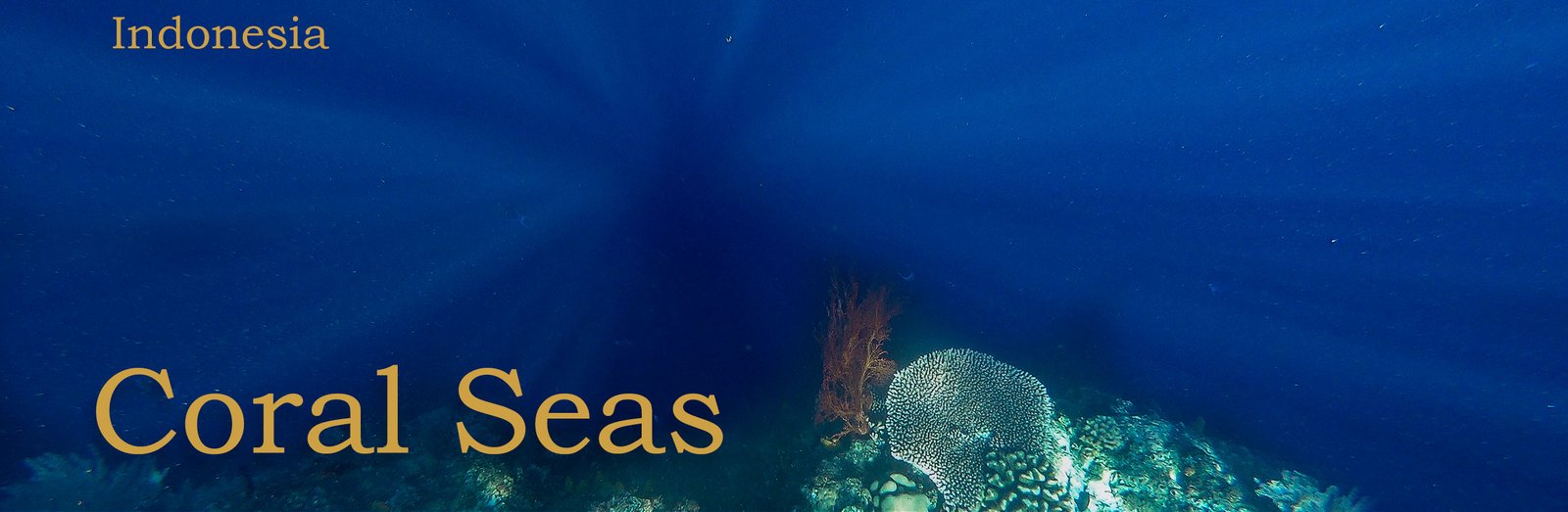 Deep blue ocean water with sunlight rays penetrating above a coral reef with various coral formations