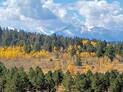 Mountain landscape with a forest of green and yellow autumn trees under a partly cloudy blue sky