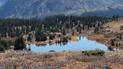 Small mountain lake surrounded by evergreen trees and dry grass with rocky mountain slopes in the background