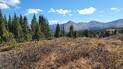 Mountain landscape with dry grasses and shrubs in the foreground, dense evergreen trees to the left, and rugged peaks under a blue sky with scattered white clouds