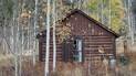 Small rustic log cabin surrounded by aspen trees with yellow autumn leaves and dry grass