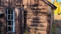 Close-up of a rustic log cabin wall with a closed wooden shutter and a window with white curtains, surrounded by autumn foliage