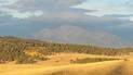 Golden grassy hills and dense forested area with yellow autumn aspens under a cloudy sky and distant mountain peaks