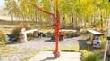 red water pump in front of a fire pit with log benches and a dog lying on gravel, surrounded by trees with yellow autumn leaves