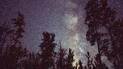 silhouetted tall trees under a night sky filled with countless stars and a visible band of the Milky Way