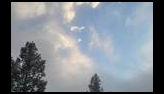 Snow-dusted evergreen trees under a misty sky with patches of blue and scattered white clouds