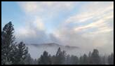 Conifer trees dusted with snow under a partly cloudy blue sky, with mist rising among the forest and distant hills