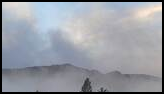 Fog and mist enveloping a forest of evergreen trees beneath a cloudy sky at dusk
