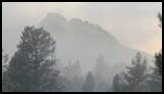 Foggy mountain landscape with tall evergreen trees partially obscured by mist under a cloudy sky