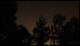 Glowing red tent illuminated under a starry night sky surrounded by silhouetted tall trees