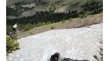 black and white dog wearing a backpack standing on a patch of snow on a mountain with evergreen trees and rolling hills in the background under a cloudy sky