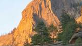 Sunlit rocky mountain cliffs with scattered evergreen trees in the foreground