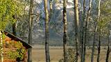 wooden cabin partially obscured by green leafy trees with a mountain range in the background under a clear sky