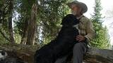 An older man wearing a hat sits on a fallen tree trunk in a forest, embracing a large black dog, with another dog resting nearby on grassy ground