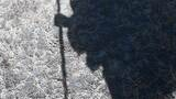 shadow of a person carrying a large backpack and holding a walking stick cast on dry grass
