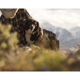 Person wearing a hat and plaid shirt crouching next to a black and white dog in a natural outdoor setting with mountains in the background