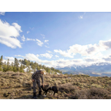 Person wearing a cowboy hat petting two dogs on a grassy hillside with snow-dusted pine trees and snow-covered mountains under a partly cloudy blue sky
