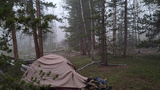 Tan camping tent pitched on a mossy forest floor surrounded by tall pine and aspen trees with fog rolling through the background