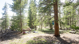 Camp setup with a small tan tent and camping gear among tall pine and aspen trees in a sunlit forest clearing
