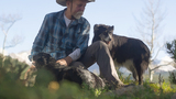 Man wearing a wide-brimmed hat and plaid shirt sitting outdoors with two black and white dogs against a backdrop of distant mountains and trees