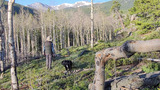 Person wearing a hat and vest standing on a grassy slope with a black and white dog, surrounded by leafless aspen trees and pine trees, with snow-capped mountains in the background