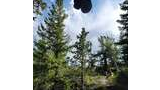 Two black bags suspended by a wire above a forested rocky hillside with green trees and a partly cloudy sky