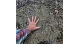 Hand placed on the cracked surface of a large, weathered tree stump covered with patches of moss and surrounded by forest floor debris