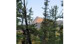 Rocky mountain peak bathed in warm sunlight, viewed through a dense forest of tall pine trees