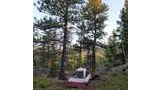 Small tent set up in a forest clearing surrounded by pine trees with camping gear nearby and a blue water bag hanging from a tree
