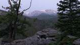 Border collie standing on rocky outcropping with pine trees and snow-capped mountains in the background at dusk