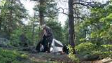Person in a plaid shirt and hat standing near a small tent in a forested campsite with tall pine trees and a dog nearby