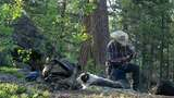 Person wearing a wide-brimmed hat and plaid shirt sitting on the ground in a forest clearing with two border collies lying nearby and camping gear scattered around