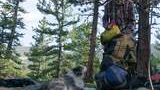 Man wearing a plaid shirt and hat organizing camping gear on the forest floor with two dogs resting nearby among pine trees and mountainous landscape