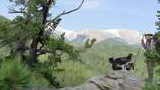 Man with a walking stick and backpack standing on a rocky outcrop surrounded by trees, accompanied by two border collies, with forested hills and snow-capped mountains in the background