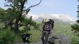 Person with hiking gear and a walking stick accompanied by a black and white dog standing on rocky terrain with pine trees and snow-capped mountains in the background