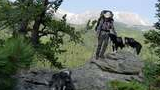 Person with backpack and hat standing on rocky outcrop surrounded by three dogs, with forested mountains and snow patches in the background