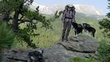 Hiker with three dogs standing on rocky outcropping with forest and snow-capped mountains in the background