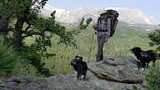 A hiker wearing a hat and carrying a large backpack stands on rocky terrain with two black and white dogs amid pine trees and a forested mountain landscape in the background