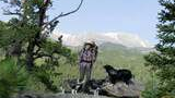 A man wearing a plaid shirt and hat stands with a walking stick on a rocky outcrop surrounded by pine trees, accompanied by three black and white dogs, with a mountainous landscape in the background