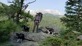 Man wearing a hat and backpack standing on rock outcropping with three border collies in a forested mountainous area with snow patches on distant peaks
