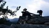 Man wearing a cowboy hat sitting on rocks with three dogs at dusk in a mountainous forested area